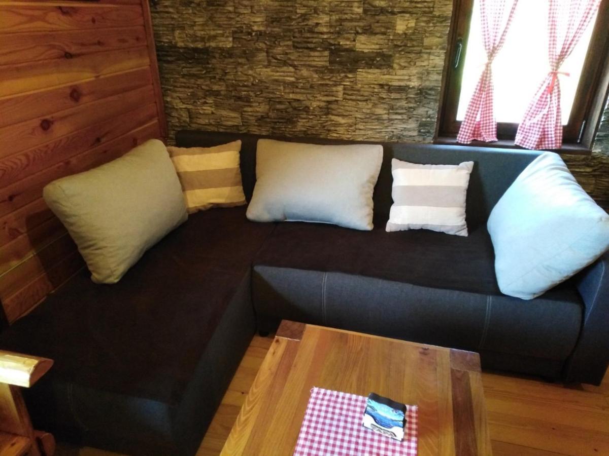 Brvnara Na Bregu Villa Bajina Basta Ngoại thất bức ảnh