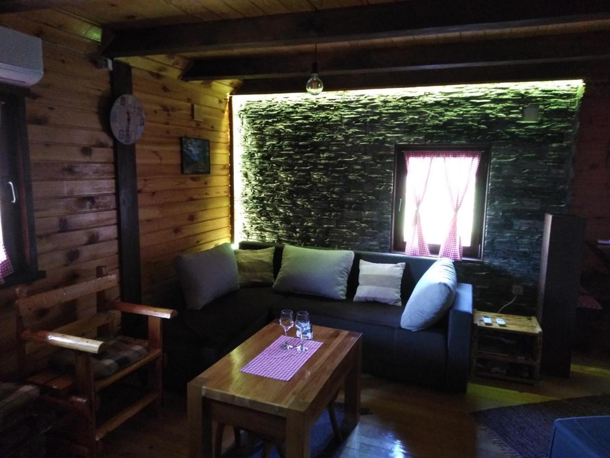 Brvnara Na Bregu Villa Bajina Basta Ngoại thất bức ảnh