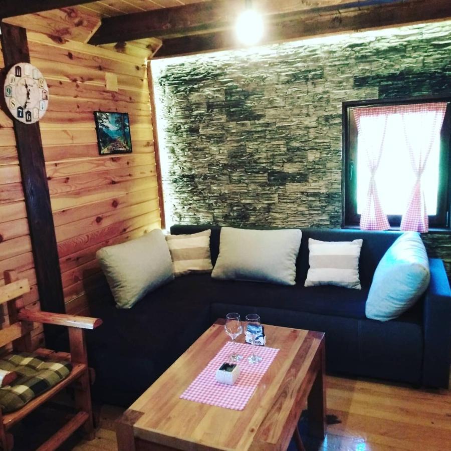 Brvnara Na Bregu Villa Bajina Basta Ngoại thất bức ảnh