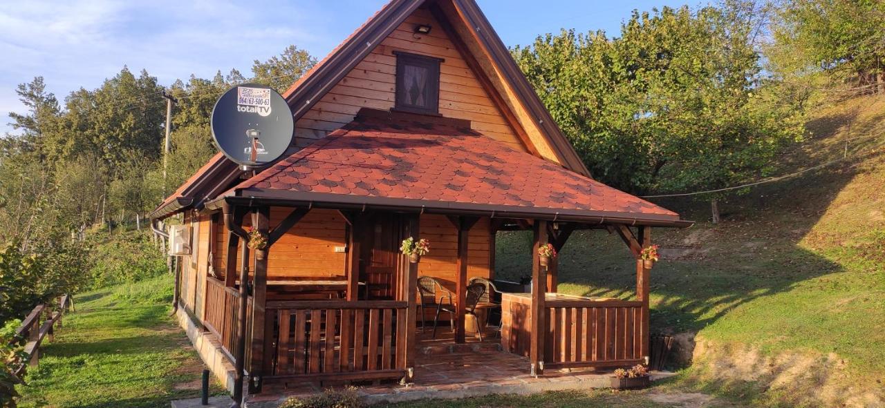 Brvnara Na Bregu Villa Bajina Basta Ngoại thất bức ảnh