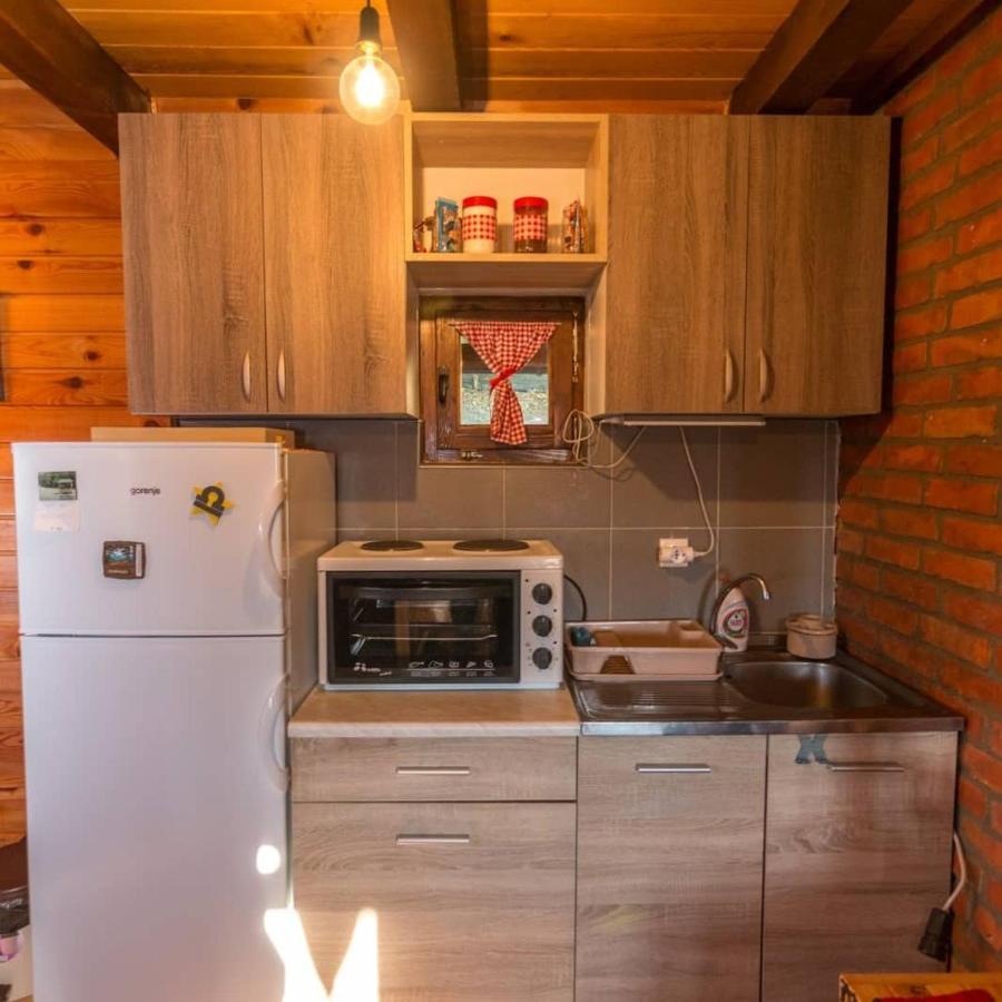 Brvnara Na Bregu Villa Bajina Basta Ngoại thất bức ảnh