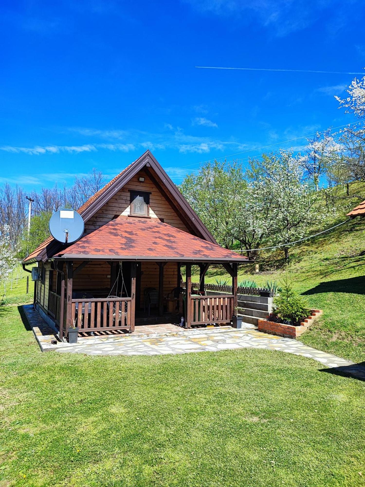 Brvnara Na Bregu Villa Bajina Basta Ngoại thất bức ảnh