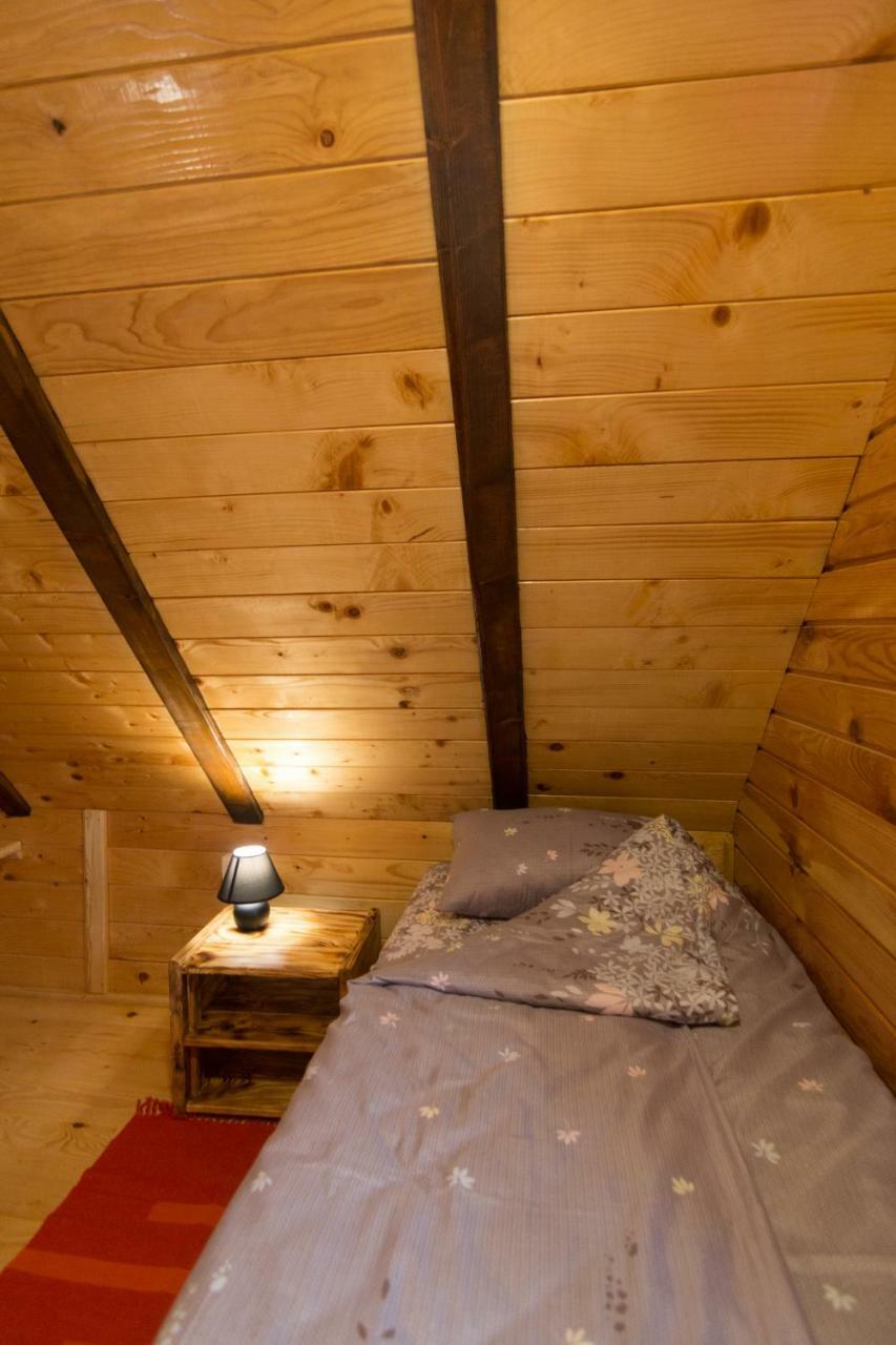Brvnara Na Bregu Villa Bajina Basta Ngoại thất bức ảnh